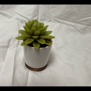 Fake Succulent desk plant
